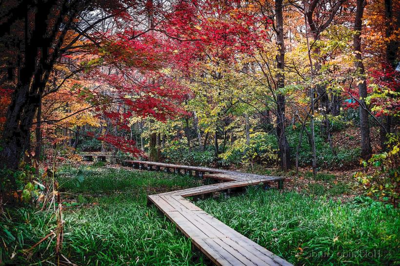 Hokkaido University Botanical Gardens
