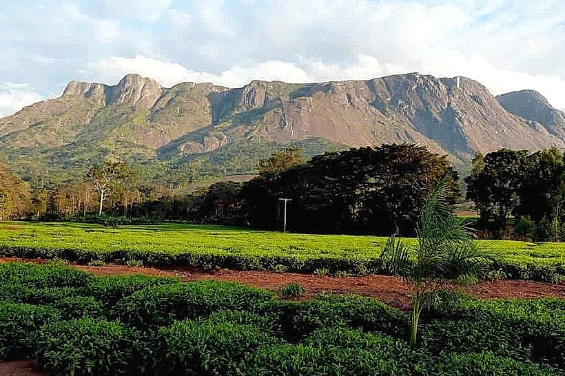 Mount Soche