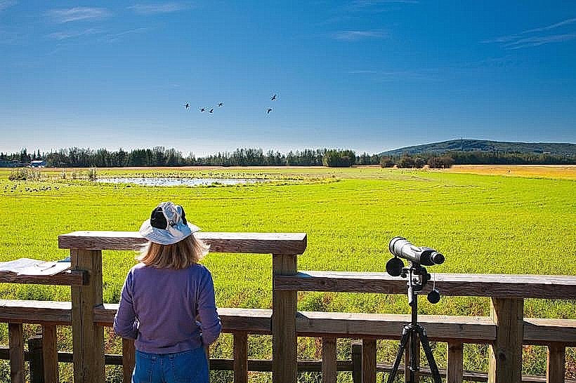 Creamer’s Field Migratory Waterfowl Refuge