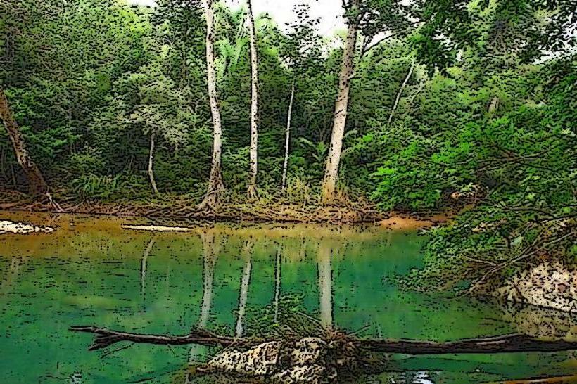 Bladen Nature Reserve