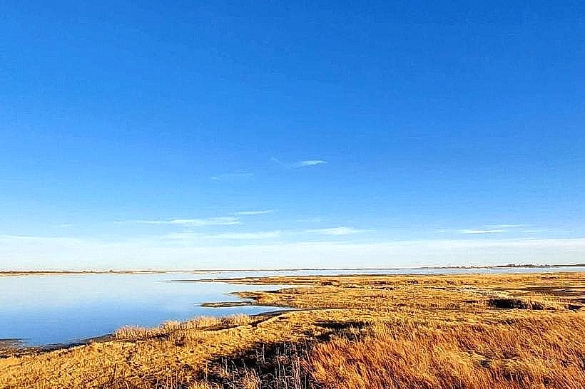Quivira National Wildlife Refuge
