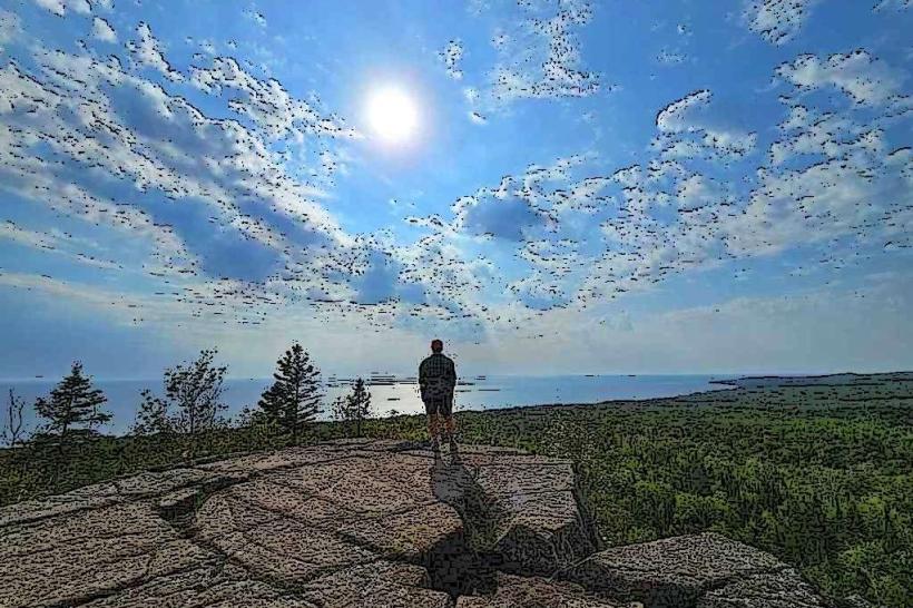 Pincushion Mountain Trail