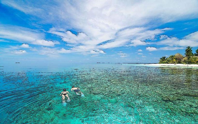 Maldives Island Diving