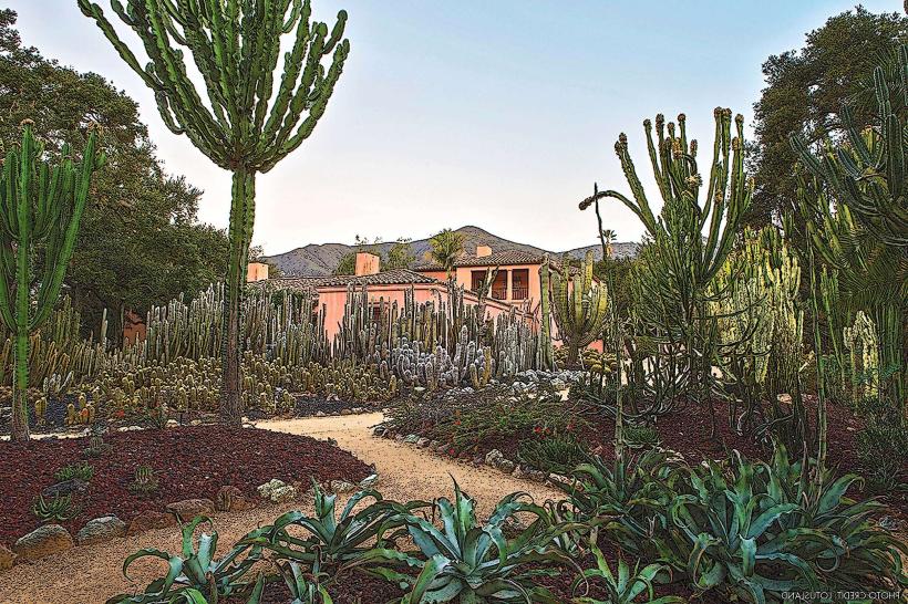 Santa Barbara Botanic Garden
