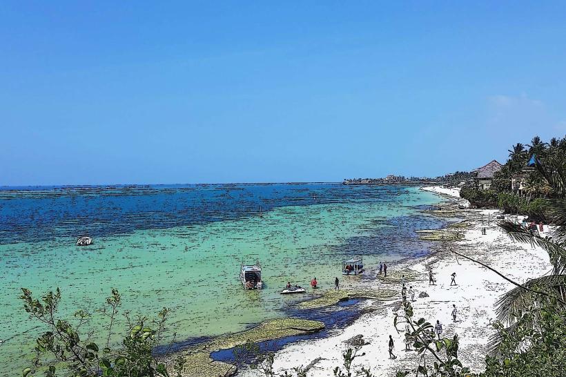Nyali Beach