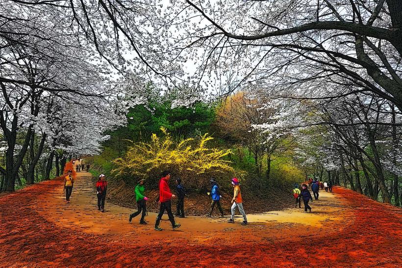 Gyejoksan Mountain Red Clay Trail