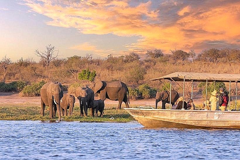 Chobe River Front