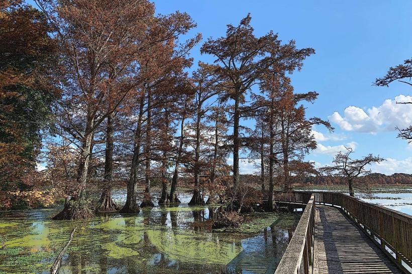 Reelfoot Lake State Park