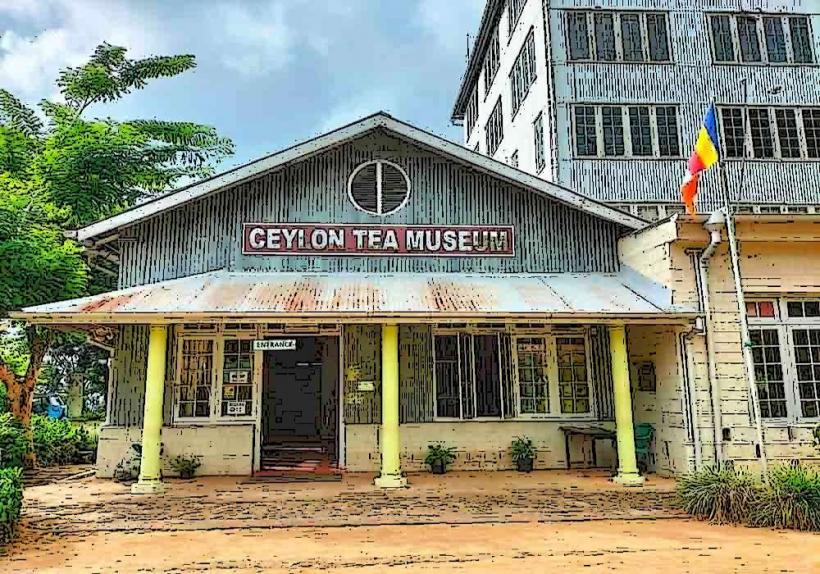 Ceylon Tea Museum