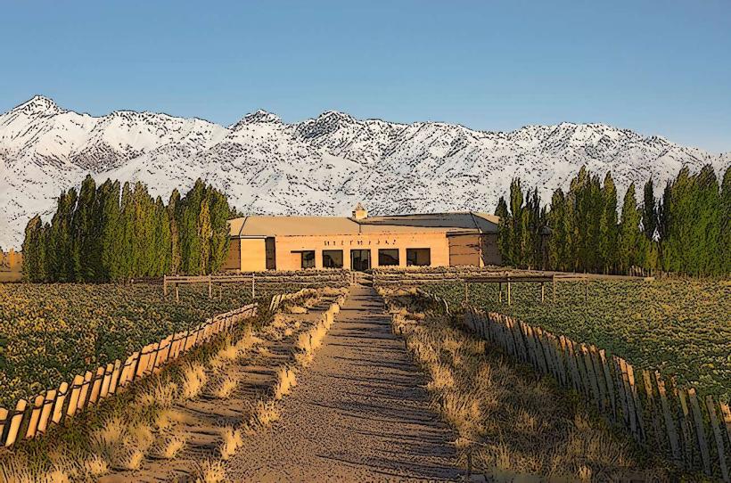 Mendoza Wine Tours