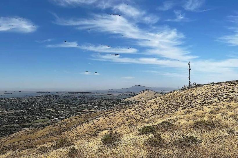 Badger Mountain Centennial Preserve