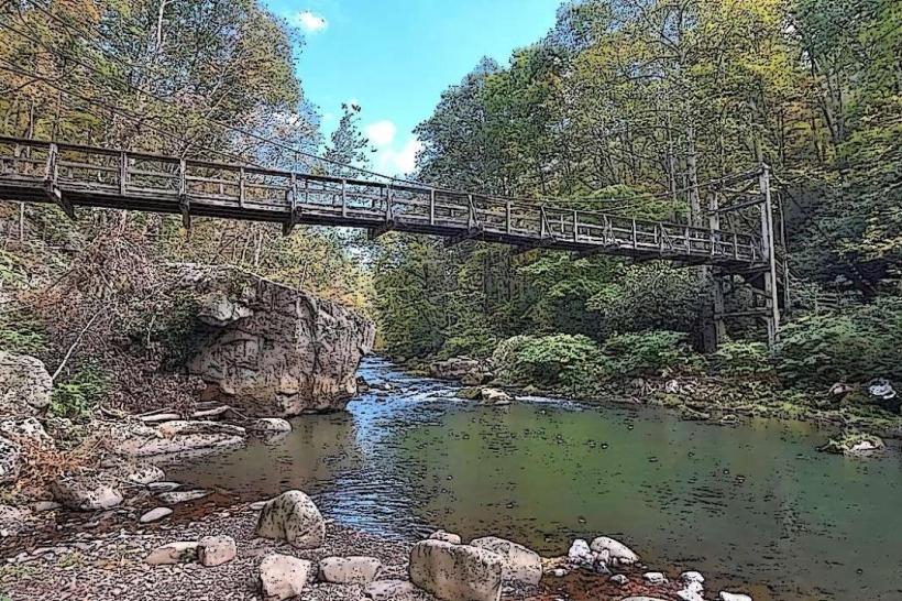 Savage River State Forest