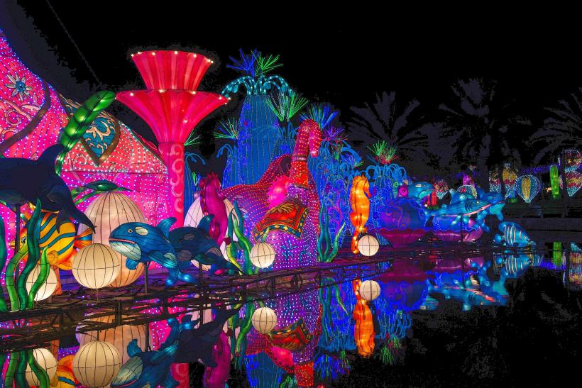 Dubai Garden Glow
