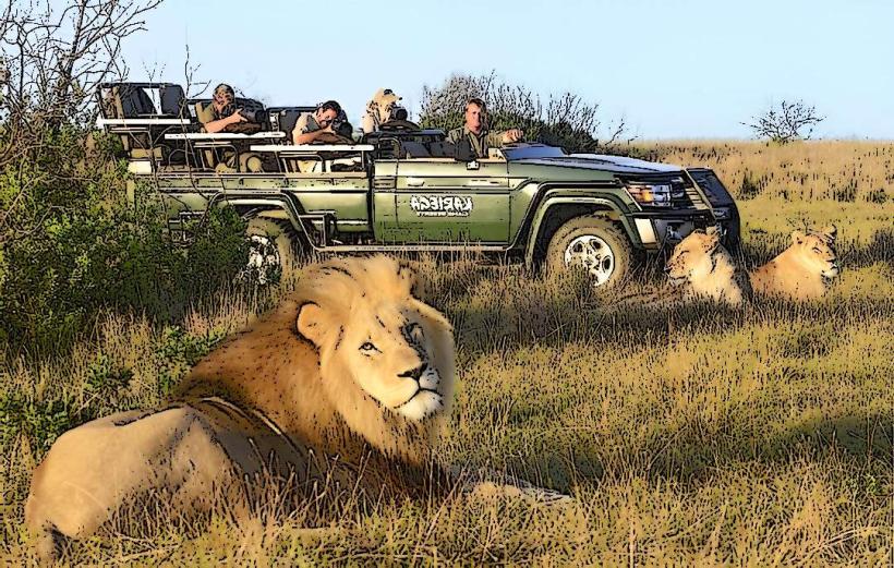 Seaview Game and Lion Park