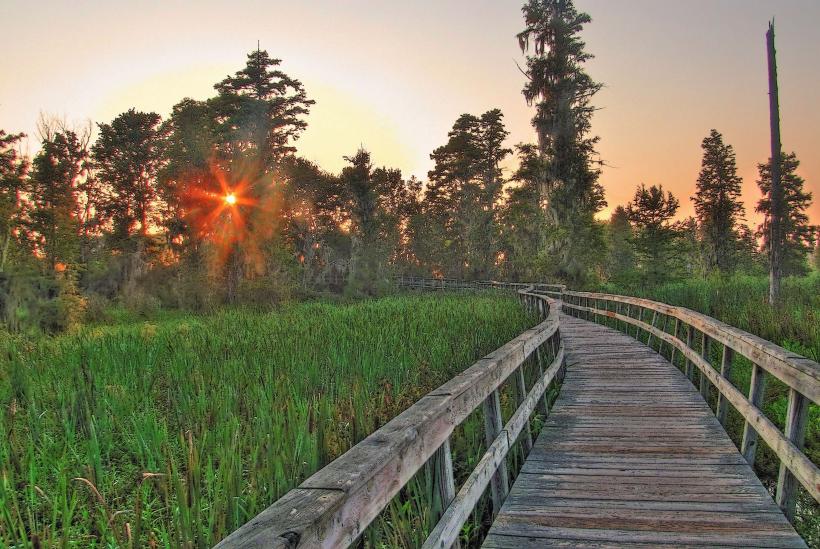 Phinizy Swamp Nature Park