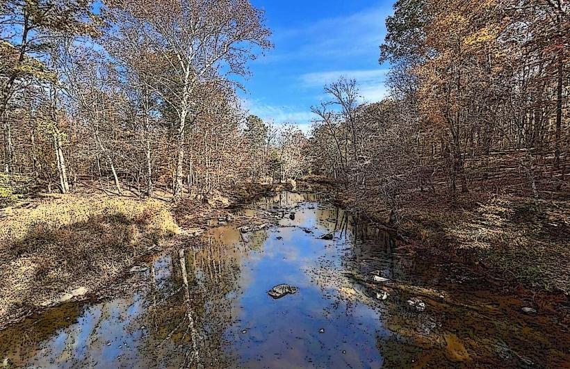 Eno River State Park