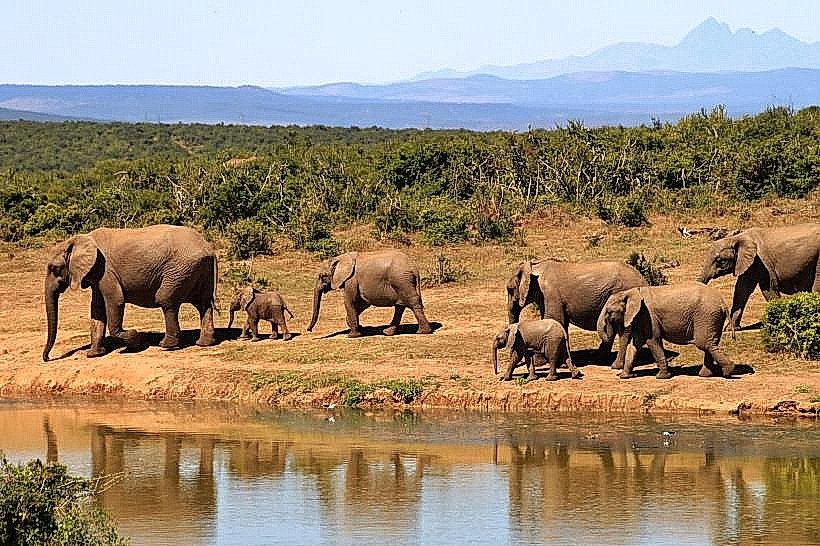 Mudumu National Park