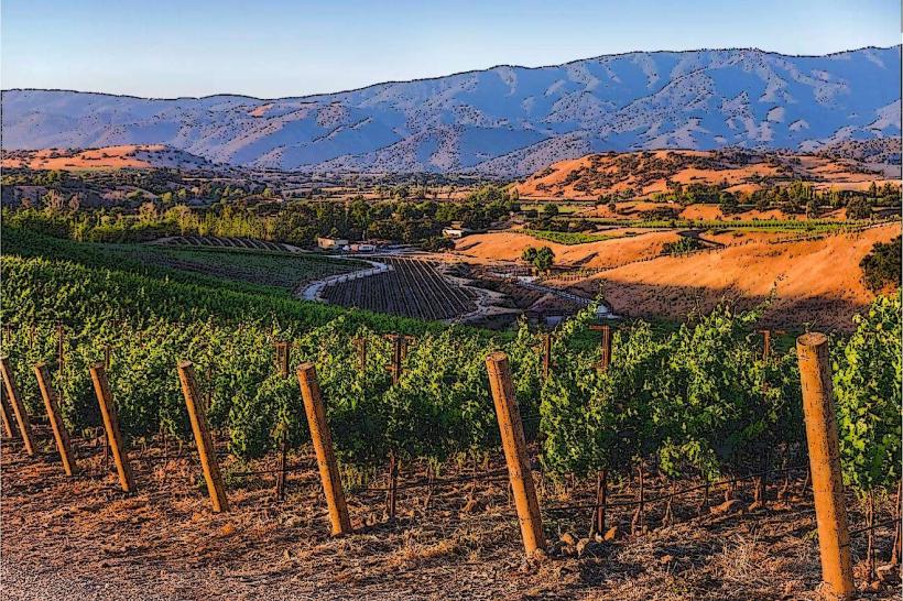 Santa Barbara Wine Country