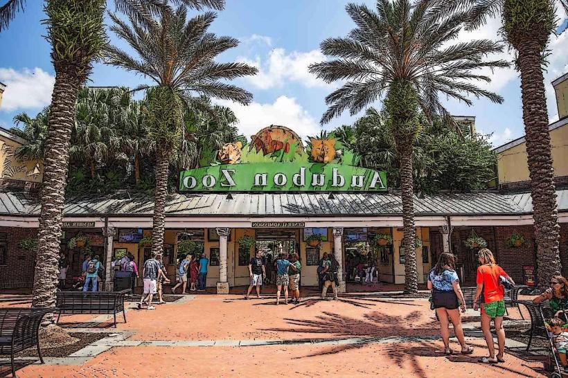 Audubon Zoo