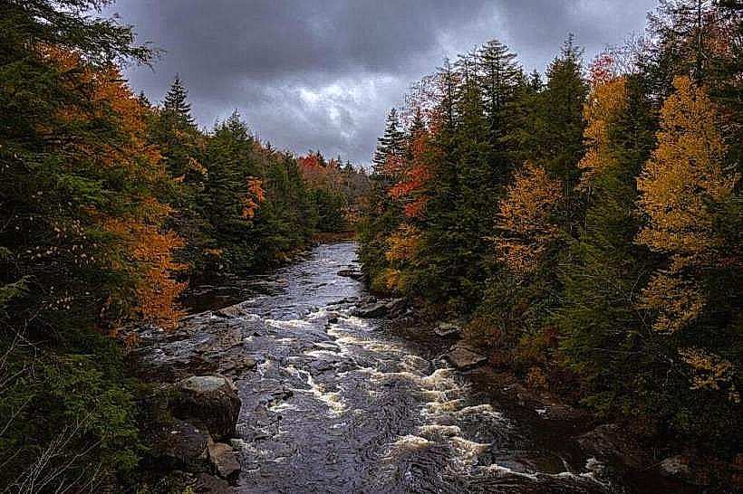 Blackwater River Access