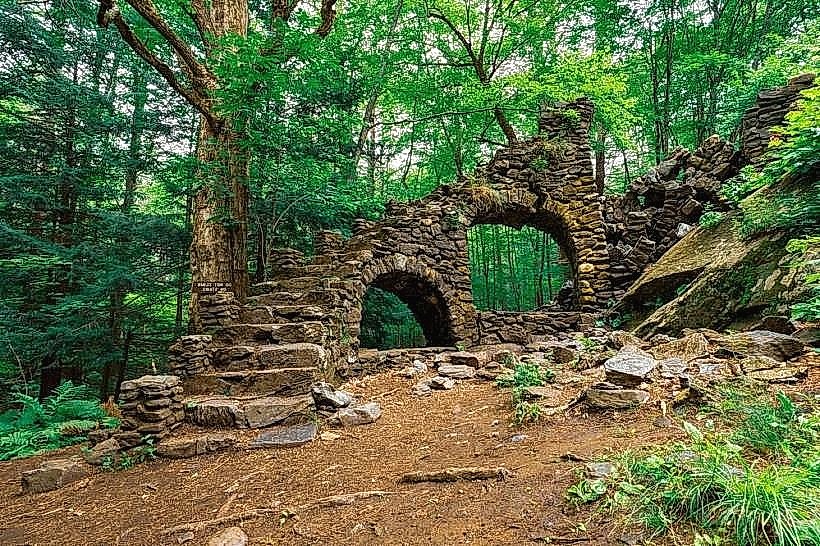 Madame Sherri Forest