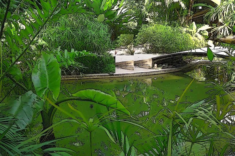 Valencia Botanical Garden