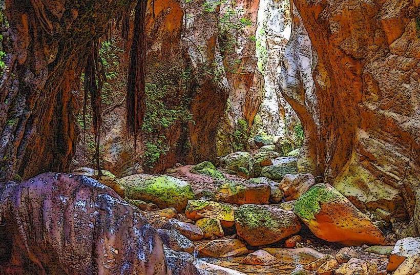 Avakas Gorge
