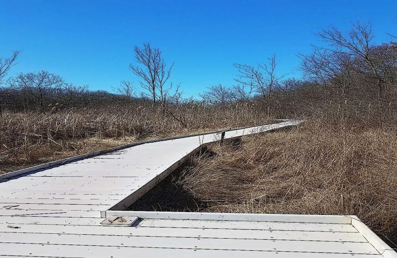 Jackson Bog State Nature Preserve