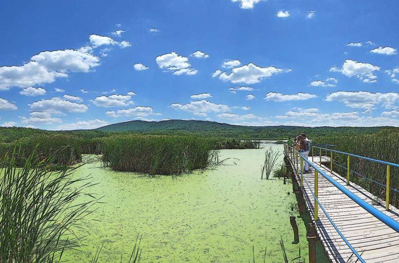 Nature Reserve Arkutino (Bear Swamp)