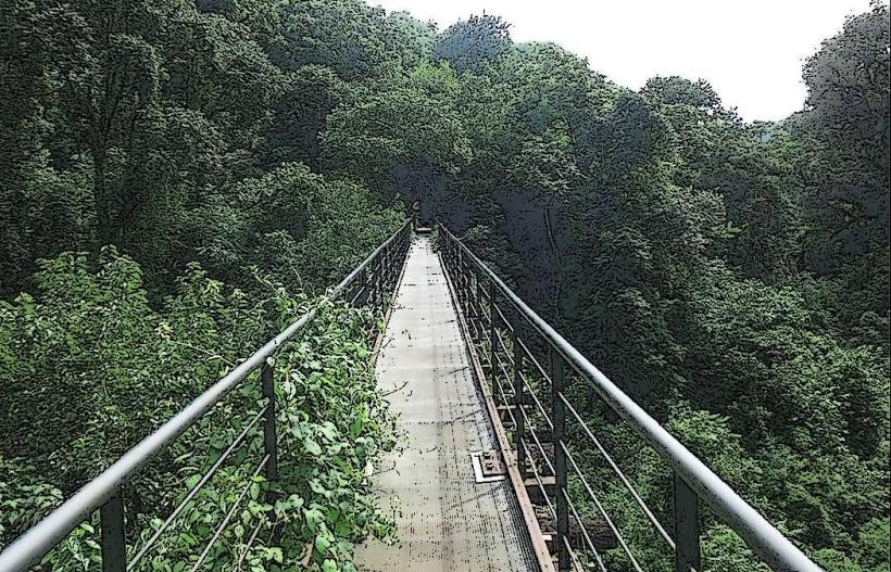 Parque Sierra de San Javier