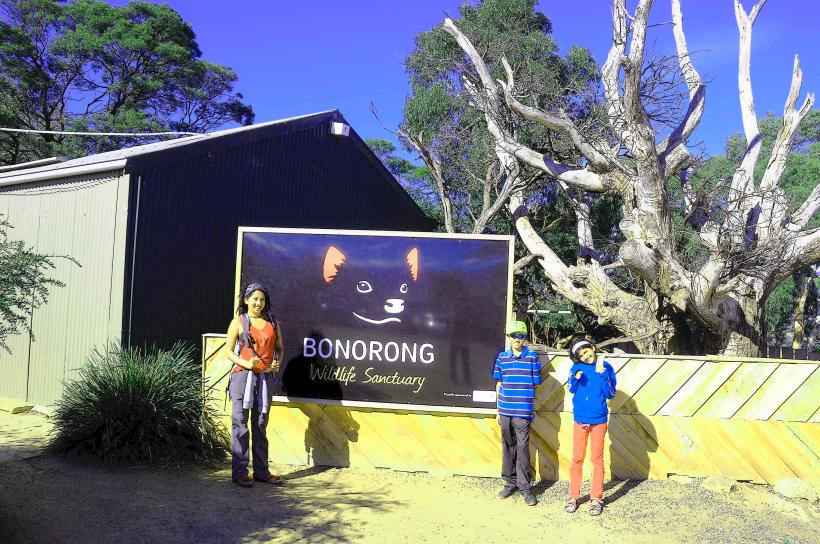 Bonorong Wildlife Sanctuary
