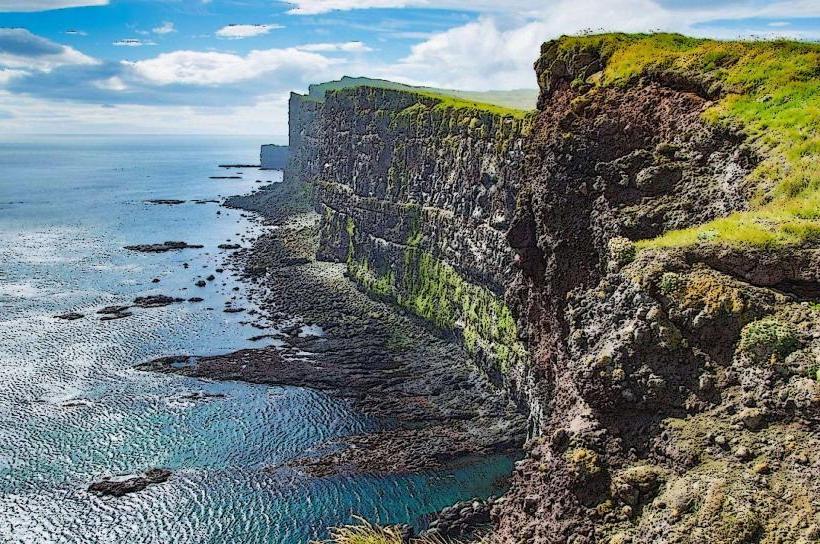Látrabjarg Bird Cliffs