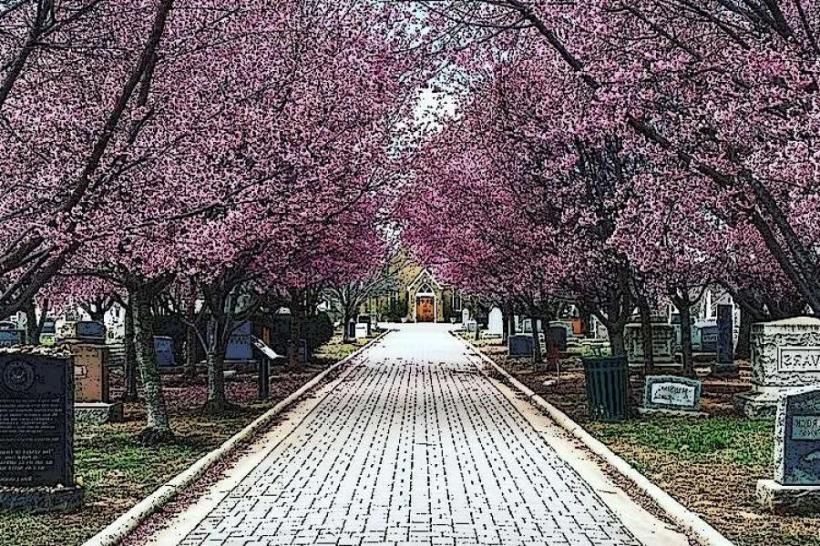 Congressional Cemetery