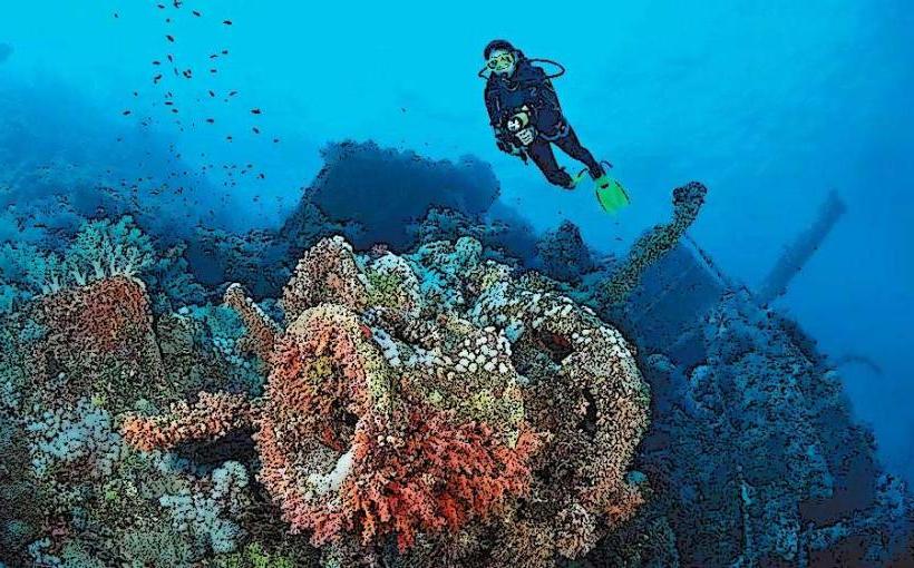 North Coast Dive Sites