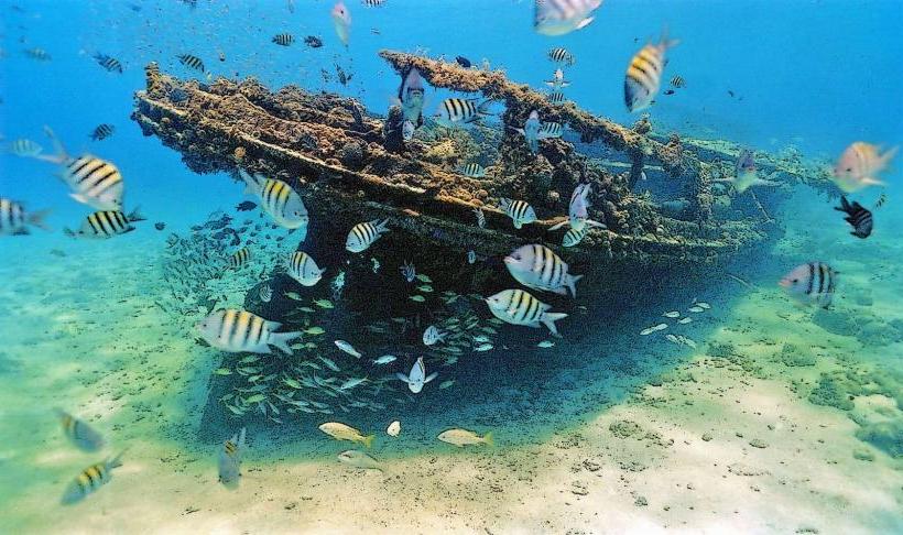 Carlisle Bay Marine Park