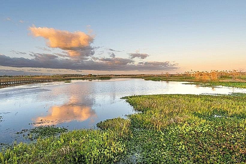 Great Swamp Management Area
