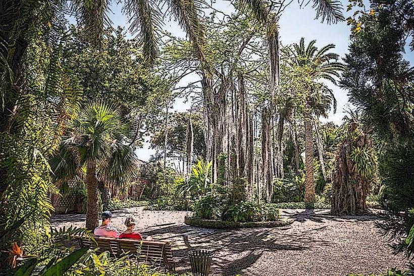 Tenerife Jardín Botánico