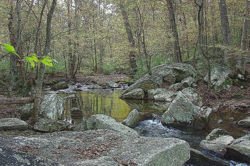 Middle Patuxent Environmental Area