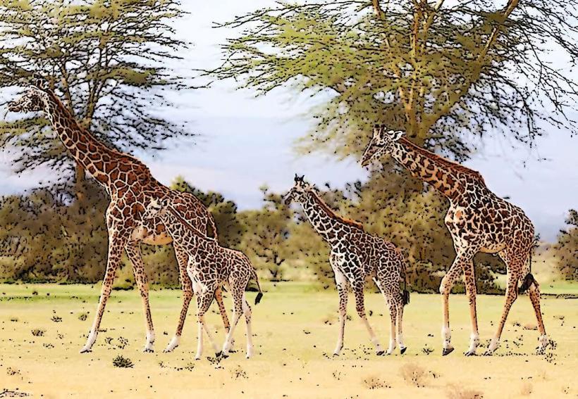 Crescent Island Game Sanctuary