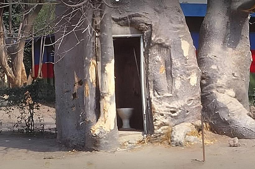 Baobab Tree (Katima Mulilo)