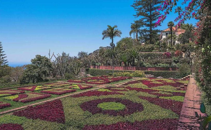Jardim Botanico da Madeira