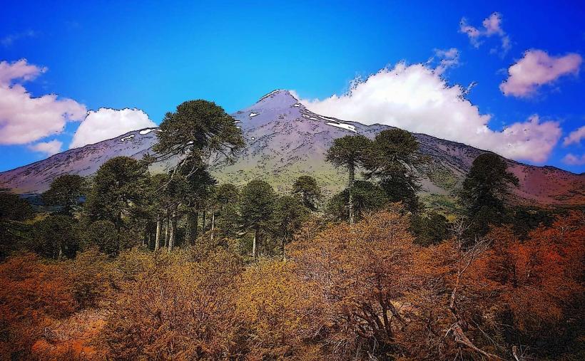 Parque Nacional Villarrica