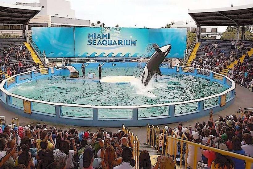Miami Seaquarium