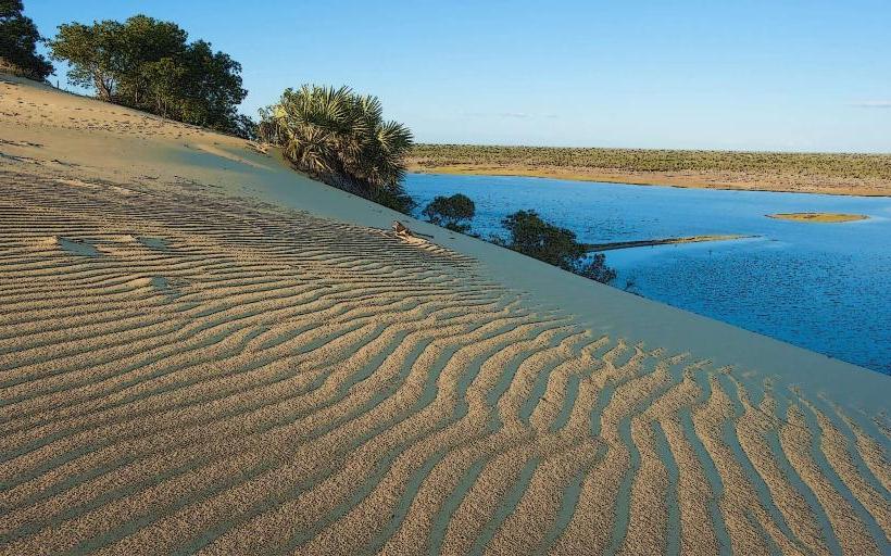 Kirindy Mitea National Park
