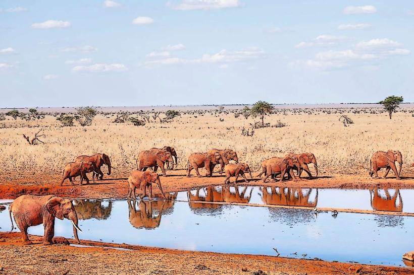 Ngutuni Wildlife Conservancy