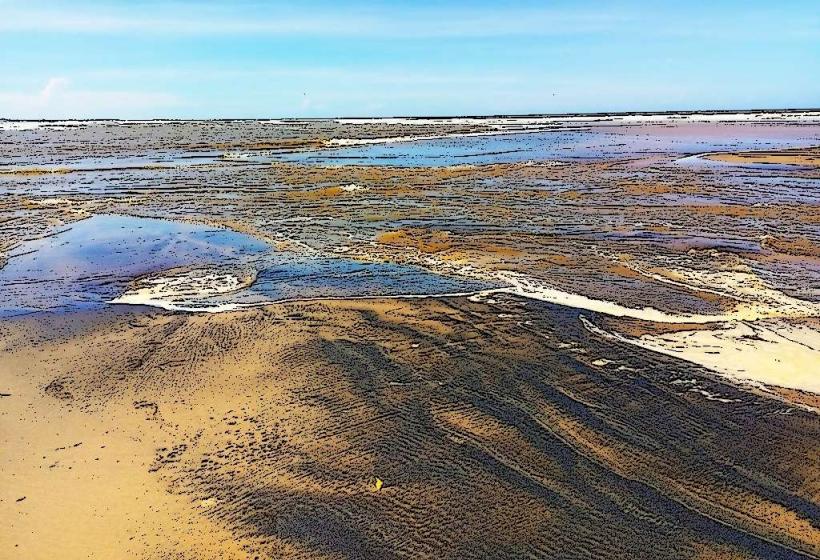 Sabaki River Estuary