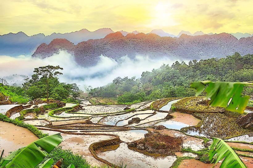 Pu Luong Nature Reserve