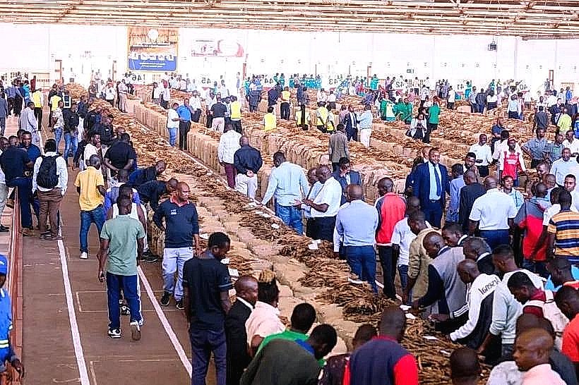 Limbe Tobacco Auction Floors