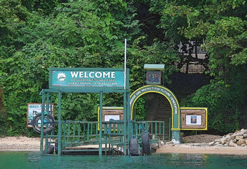 Gombe Stream National Park