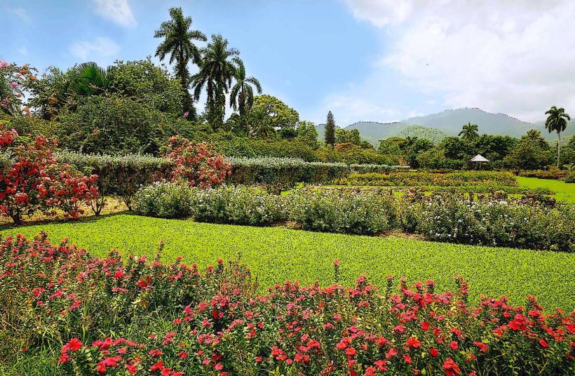 Hope Botanical Gardens